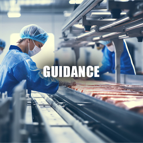 Guidance Poster